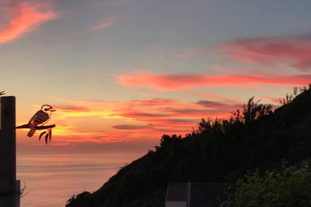 Вилла Sunset Nest Понта-Делгада Экстерьер фото